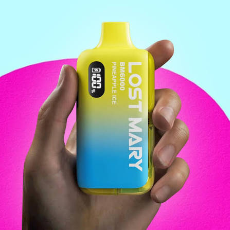 can you refill lost mary bm6000