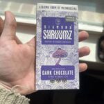 black diamond mushroom chocolate
